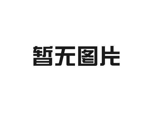 2025品轩游乐南麂岛公司团建活动